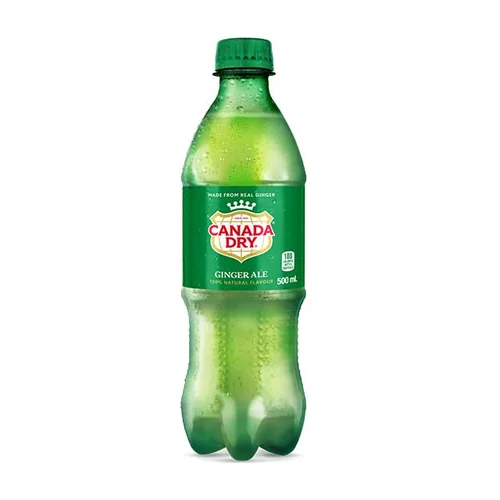 Ginger Ale at Domino's Pizza